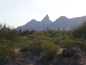 Organ Pip Cactus National Monument, AZ